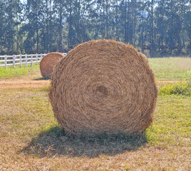 Baling hay on a farm field on a summer day