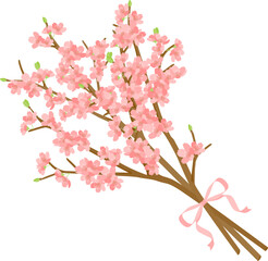 春の素材：桜の枝をリボンでまとめた花束