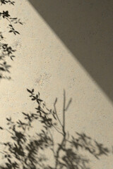 A concrete texture background that is great for use in various designs with a harmonious combination of warm sunlight and green leaves. 3d rendering.