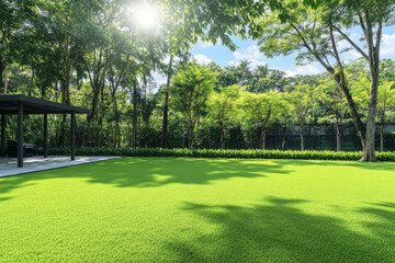 Lush green lawn basking in sunlight with trees in background under blue sky