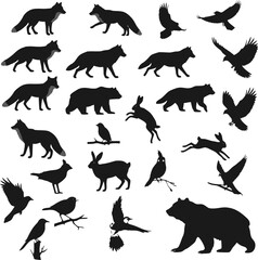 Obraz premium Vector collection forest wild animals and birds silhouettes. EPS 10 version.