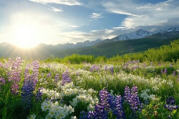 Spring flowers burst into life in a lush meadow under the warm sun as mountains rise in the background