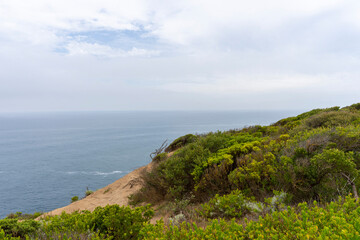 Fototapeta premium Cape Schanck is the southernmost tip of the Mornington Peninsula, Melbourne, Victoria, Australia. 