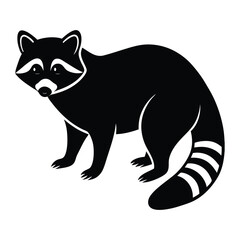 black and white raccoon on white background