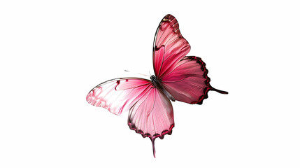 Realistic Pink Butterfly with Wings Spread Isolated,generative ai