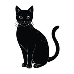 black and white cat on white background