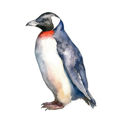 watercolor Penguin isolated white background