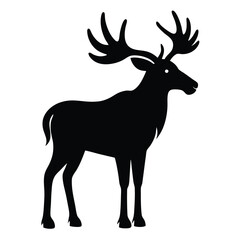 Obraz premium A moose donning sunglasses against a white background