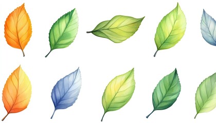 A vibrant collection of various leaves showcasing different colors and shapes against a white background