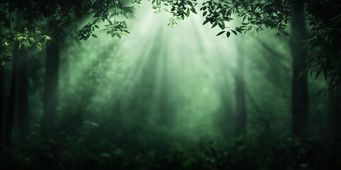 Sunlight rays shining through tree canopy in forest. Nature and tranquility themes