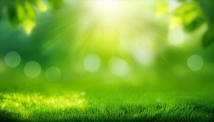 Fototapeta premium green spring abstract blurred background with sun and lights