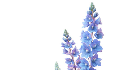 Obraz premium A rich blue delphinium flower against a transparent background.