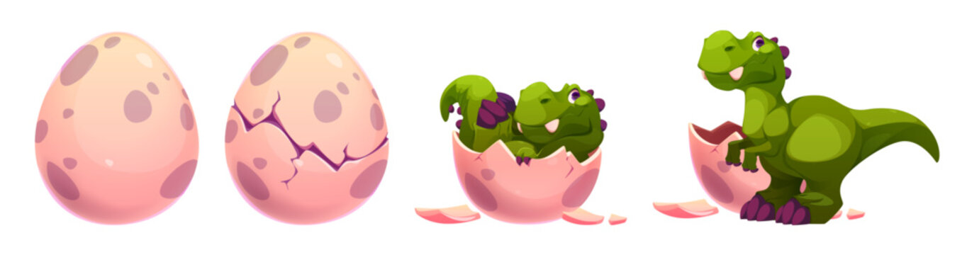 Cute green dinosaur reptile hatching sequence from spotted egg - closed shell, cracking process, emerging baby dino and newborn t-rex with broken eggshell pieces for game animation or children book.