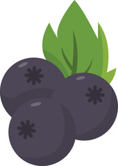 Elderberry Fruit Cartoon Illustration