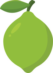 Lime Fruit Cartoon Illustration
