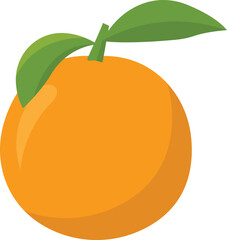 Orange Fruit Cartoon Illustration