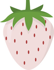 Pine berry Fruit Cartoon Illustration