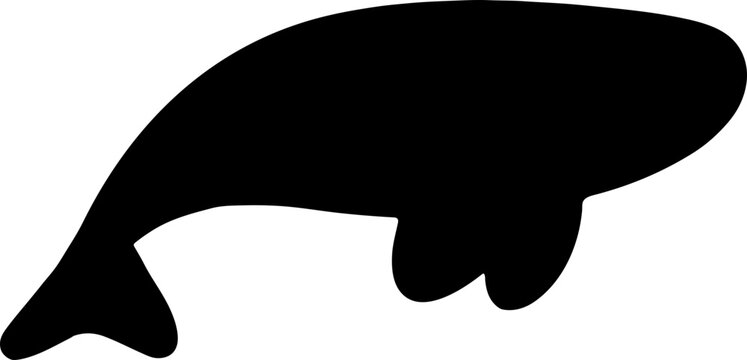 whal sea animal silhouette