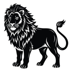 lion vector illustration  on white background
