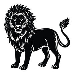 lion isolated on white  on white background