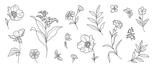 Set of hand drawn botanical flower line art vector. Collection black white contour drawing of foliage, wildflower, eucalyptus, butterfly. Illustration design for logo, wedding, invitation, decor.