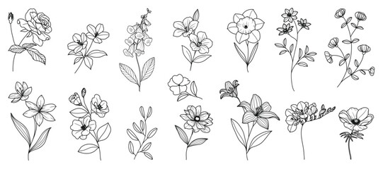 Set of hand drawn botanical flower line art vector. Collection black white contour drawing of foliage, wildflower, poppy, peony, eucalyptus. Illustration design for logo, wedding, invitation, decor.