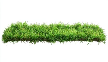 Lush green grass patch isolated on white.