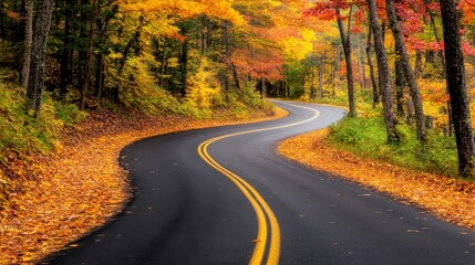 Fototapeta premium Scenic winding road through vibrant autumn foliage with colorful leaves and serene nature backdrop