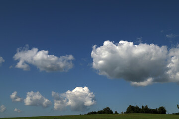 Green field, tree and blue sky landscape anime background