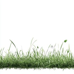 Fototapeta premium Lush Green Grass Isolated on White Background Vibrant Nature Texture for Design and Compositing