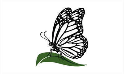 vector art illustration