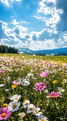 Colorful flower field under a bright blue sky with fluffy clouds and distant mountains in summer