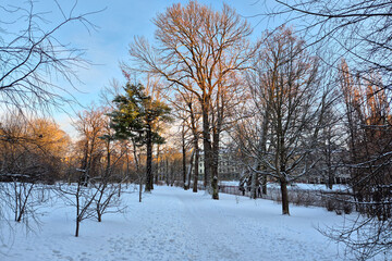 Park