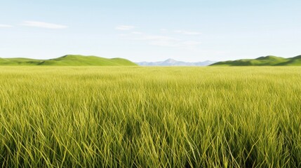Obraz premium Serene Green Field Landscape