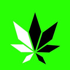 Obraz premium green star shape, raw background marijuana