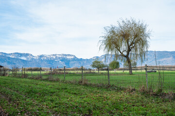 campagne genevoise, Collex- Bossy