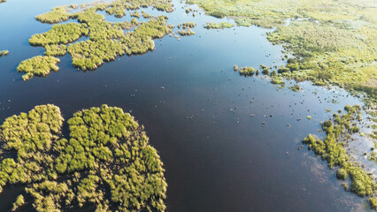 Aerial view of small islands of lush green reeds growing in blue lake water