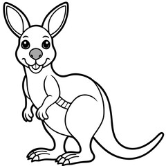 kangaroo illustration