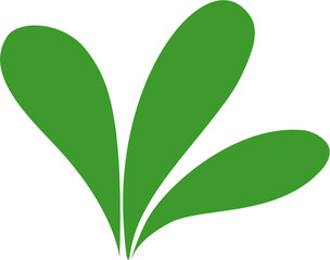 Grass Illustration