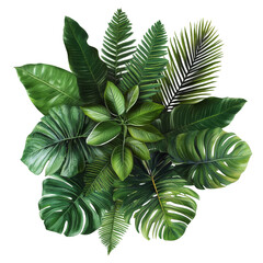 A vibrant arrangement of various tropical leaves creates a lush and exotic visual.