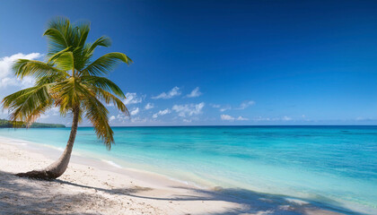 Fototapeta premium beach with palm tree