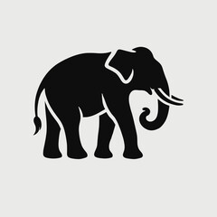 Fototapeta premium Asian Elephant silhouette in black on a white background