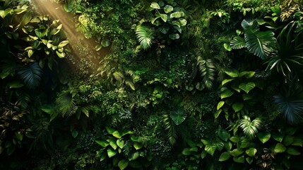 Lush Green Vertical Garden Design, Tropical Leaves, Ferns Illuminated, Dense Natural Backdrop