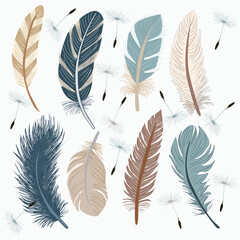 Collection Illustration of various of bird feathers