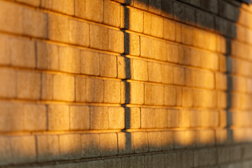 The brick wall is illuminated by the sun, casting a shadow on the ground