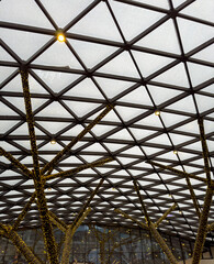 A large, open space with a lot of light shining through the ceiling