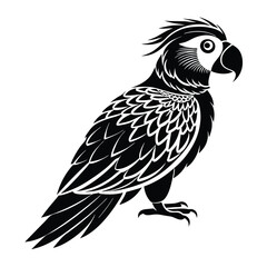  parrot Black and white vector illustration animal silhouette for t shirt 