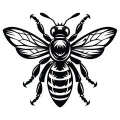 Obraz premium bee Black and white vector illustration animal silhouette 