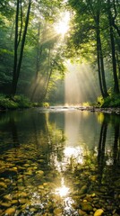 Obraz premium Serene Forest Stream with Sunlight Filtering Through Trees Illuminating Calm Water and Pebbles in a Tranquil Natural Setting
