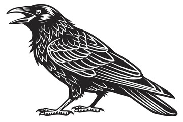 crow on a white background